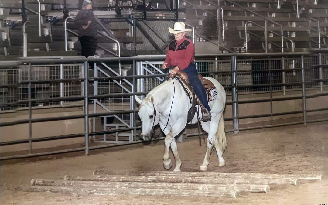 Remembering Marilyn Faye Springer