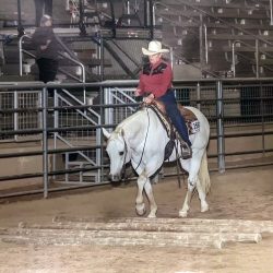 Remembering Marilyn Faye Springer