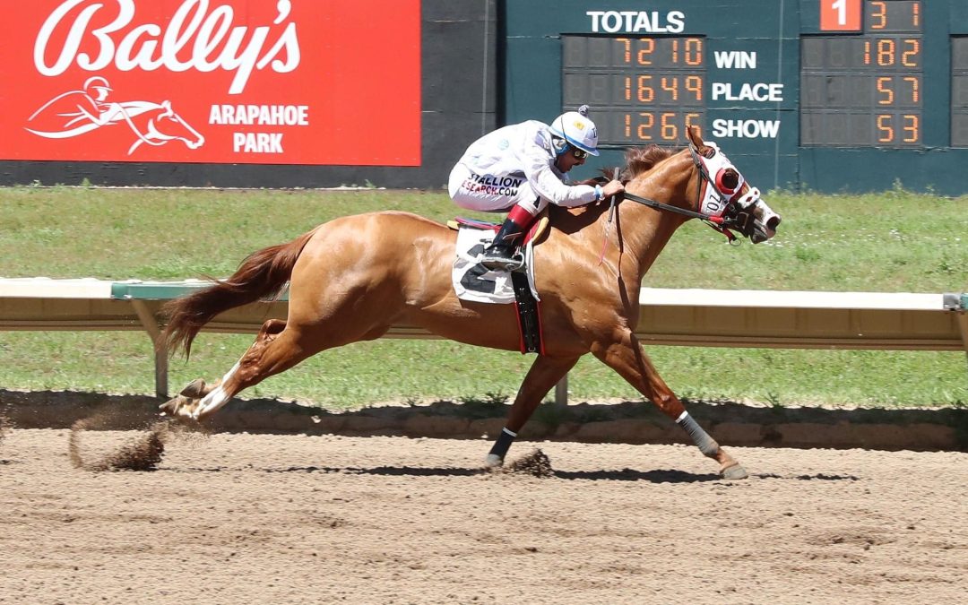 Mile High Futurity Finals