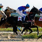 2026 Quarter Horse Stakes