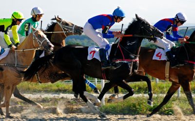 2026 Quarter Horse Stakes